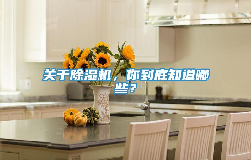 关于除湿机，你到底知道哪些？