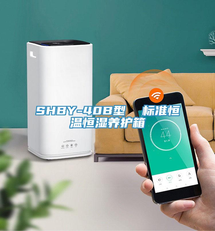 SHBY-40B型  标准恒温恒湿养护箱