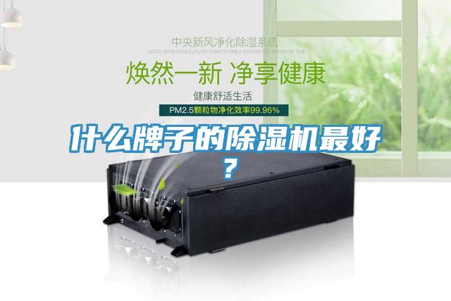 什么牌子的除湿机最好？