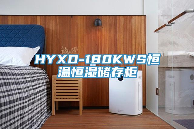 HYXD-180KWS恒温恒湿储存柜