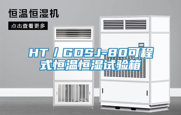 HT／GDSJ-80可程式恒温恒湿试验箱