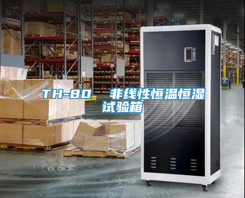 TH-80  非线性恒温恒湿试验箱