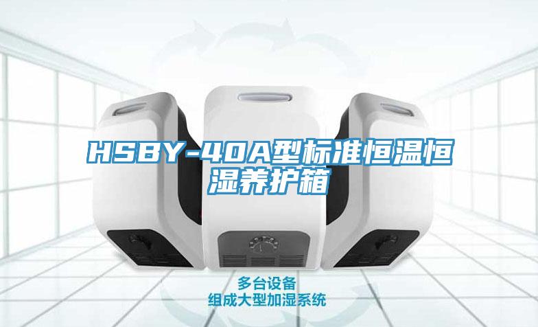HSBY-40A型标准恒温恒湿养护箱