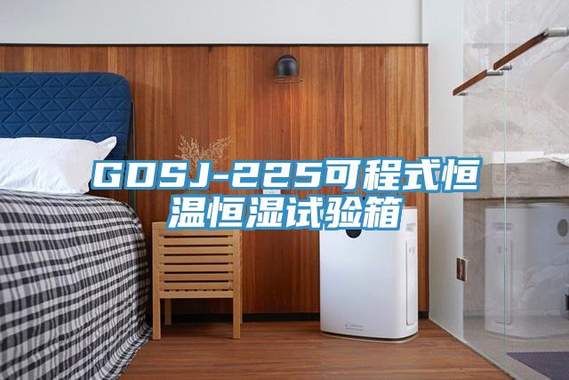 GDSJ-225可程式恒温恒湿试验箱