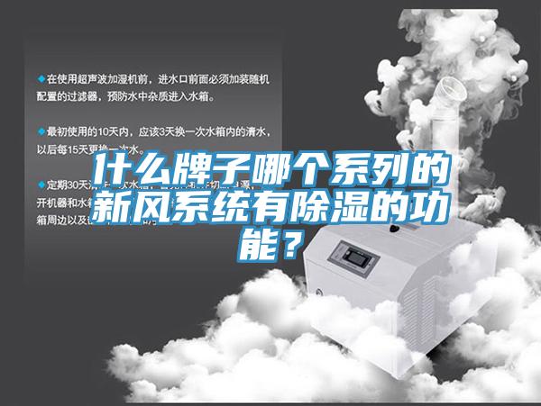 什么牌子哪个系列的新风系统有除湿的功能？