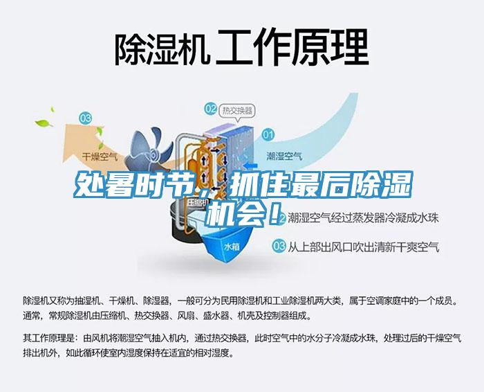 处暑时节，抓住最后除湿机会！