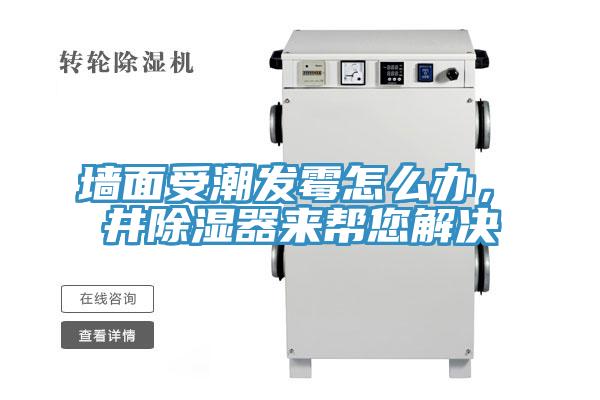 墙面受潮发霉怎么办，東井除湿器来帮您解决