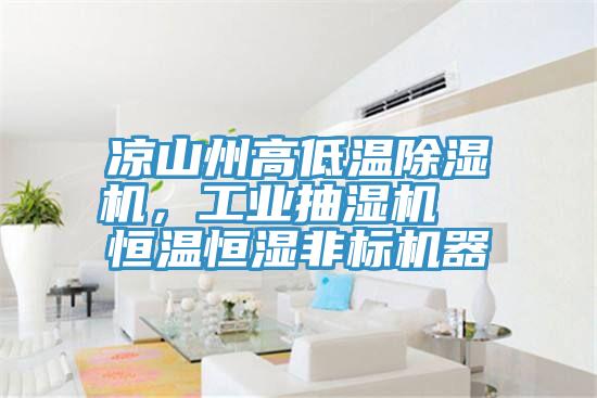 凉山州高低温除湿机，工业抽湿机  恒温恒湿非标机器