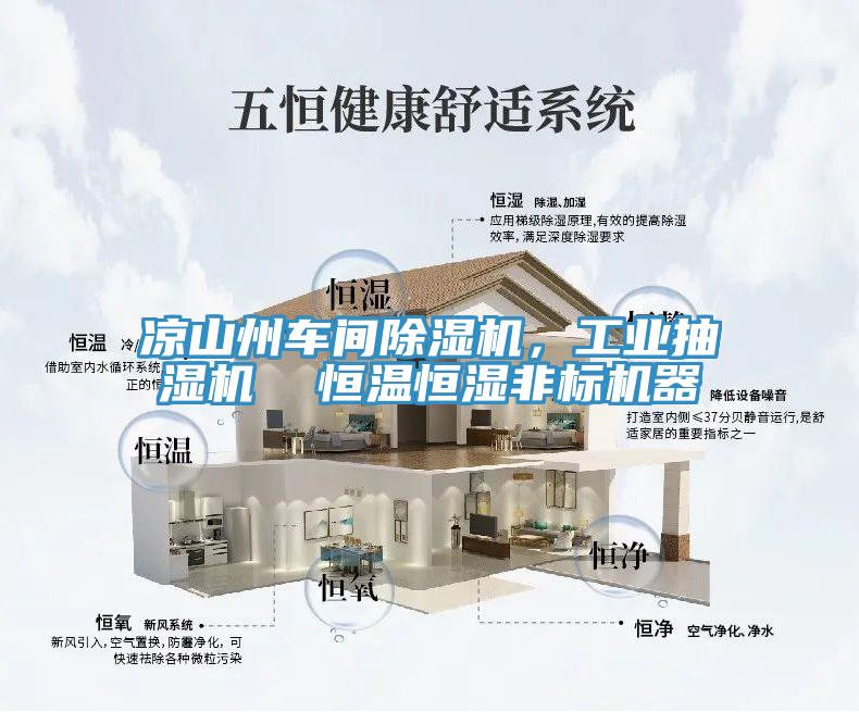 凉山州车间除湿机，工业抽湿机  恒温恒湿非标机器