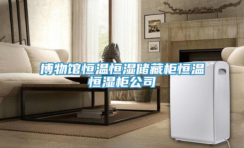 博物馆恒温恒湿储藏柜恒温恒湿柜公司