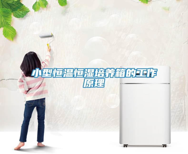 小型恒温恒湿培养箱的工作原理