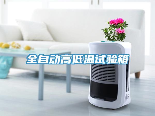 全自动高低温试验箱