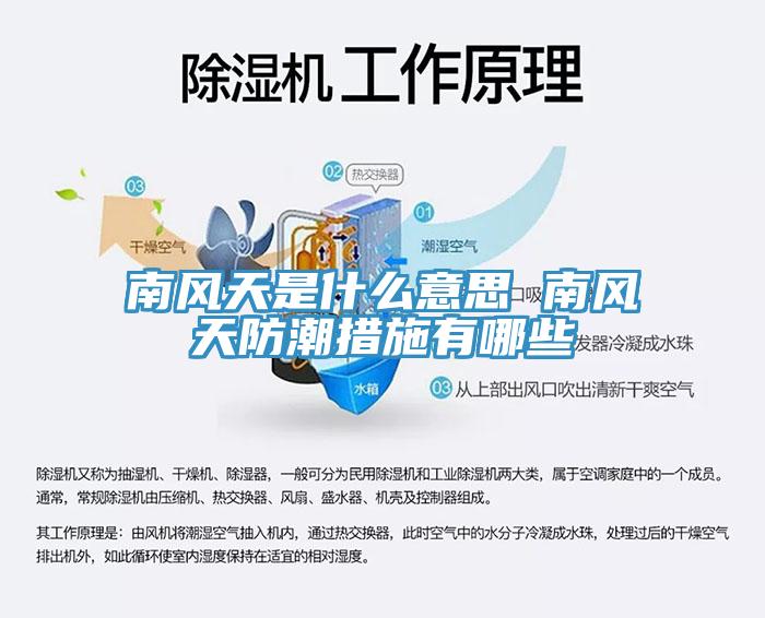 南风天是什么意思 南风天防潮措施有哪些