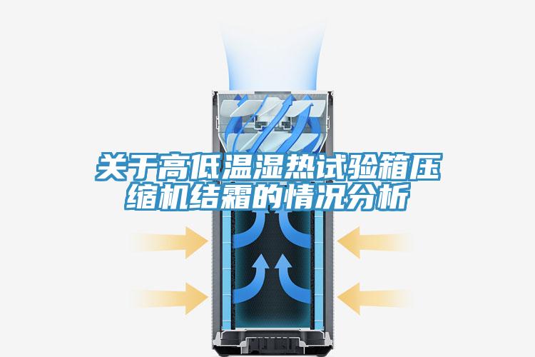 关于高低温湿热试验箱压缩机结霜的情况分析