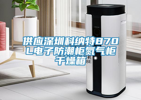 供应深圳科纳特870L电子防潮柜氮气柜干燥箱