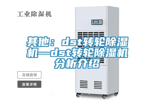 其他：dst转轮除湿机—dst转轮除湿机分析介绍