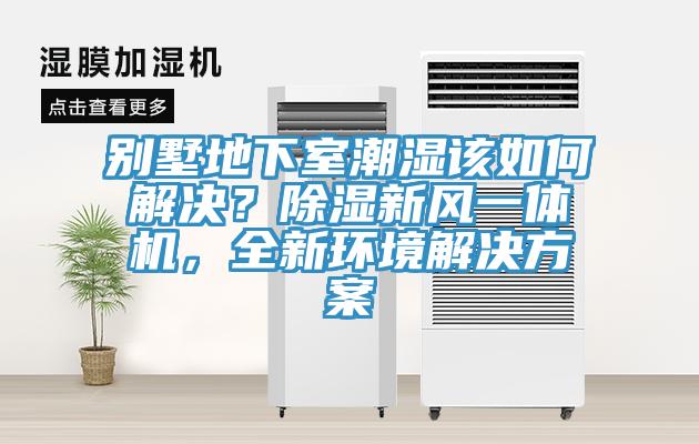别墅地下室潮湿该如何解决？除湿新风一体机，全新环境解决方案