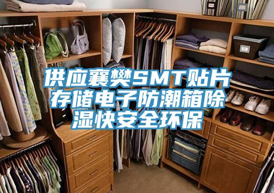 供应襄樊SMT贴片存储电子防潮箱除湿快安全环保