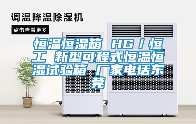 恒温恒湿箱 HG／恒工 新型可程式恒温恒湿试验箱 厂家电话东莞