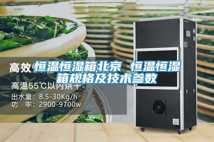 恒温恒湿箱北京 恒温恒湿箱规格及技术参数