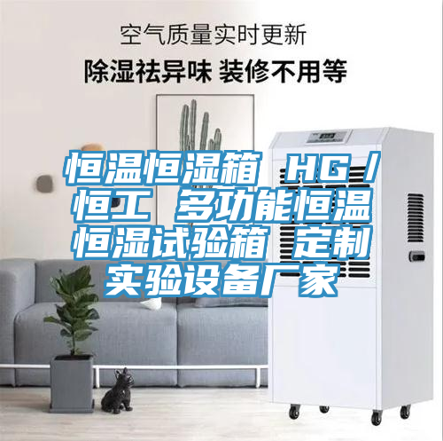 恒温恒湿箱 HG／恒工 多功能恒温恒湿试验箱 定制实验设备厂家