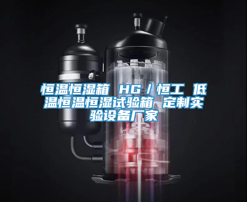 恒温恒湿箱 HG／恒工 低温恒温恒湿试验箱 定制实验设备厂家