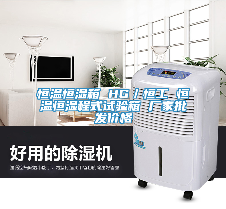 恒温恒湿箱 HG／恒工 恒温恒湿程式试验箱 厂家批发价格