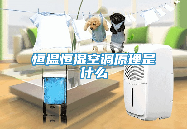 恒温恒湿空调原理是什么
