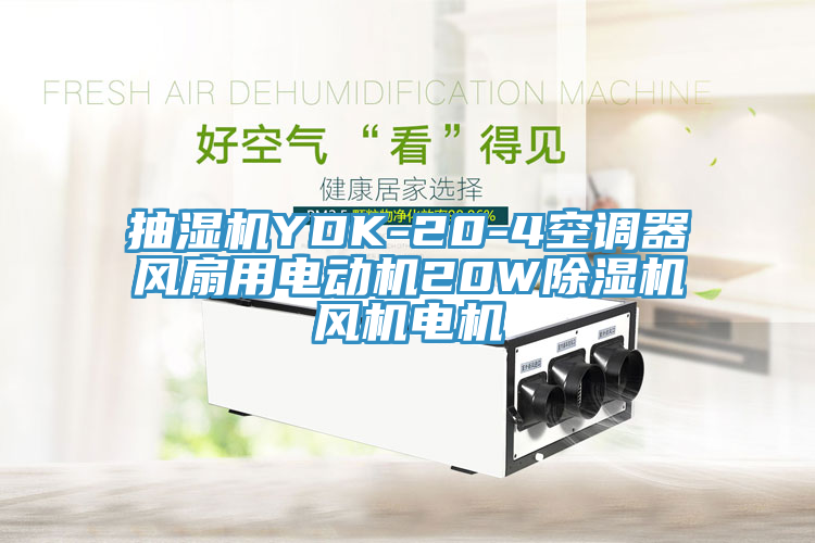 抽湿机YDK-20-4空调器风扇用电动机20W除湿机风机电机