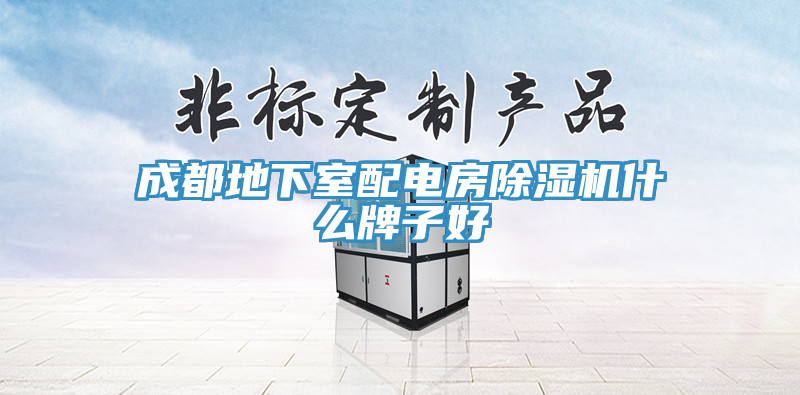 成都地下室配电房除湿机什么牌子好