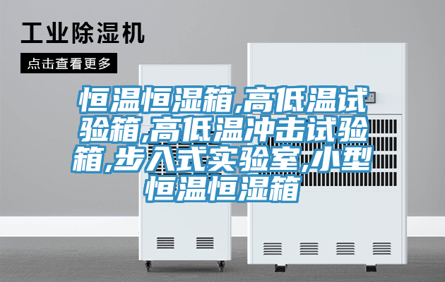 恒温恒湿箱,高低温试验箱,高低温冲击试验箱,步入式实验室,小型恒温恒湿箱
