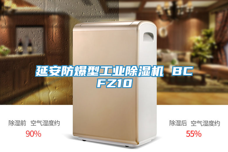 延安防爆型工业除湿机 BCFZ10