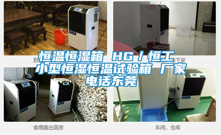 恒温恒湿箱 HG／恒工 小型恒湿恒温试验箱 厂家电话东莞