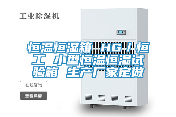 恒温恒湿箱 HG／恒工 小型恒温恒湿试验箱 生产厂家定做