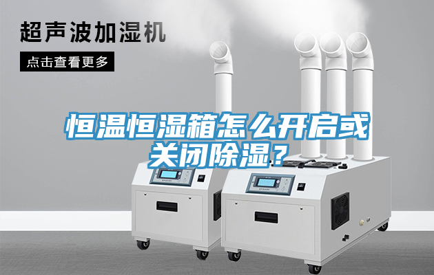恒温恒湿箱怎么开启或关闭除湿？