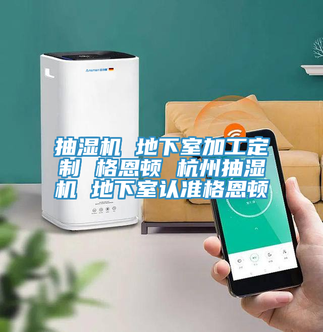抽湿机 地下室加工定制 格恩顿 杭州抽湿机 地下室认准格恩顿