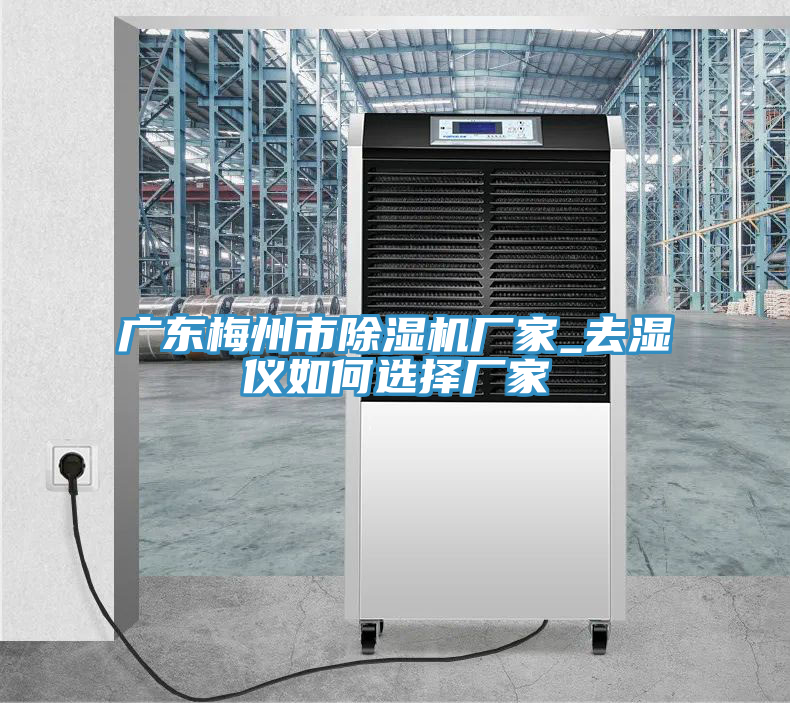 广东梅州市除湿机厂家_去湿仪如何选择厂家