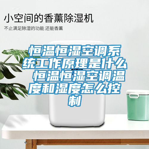 恒温恒湿空调系统工作原理是什么 恒温恒湿空调温度和湿度怎么控制