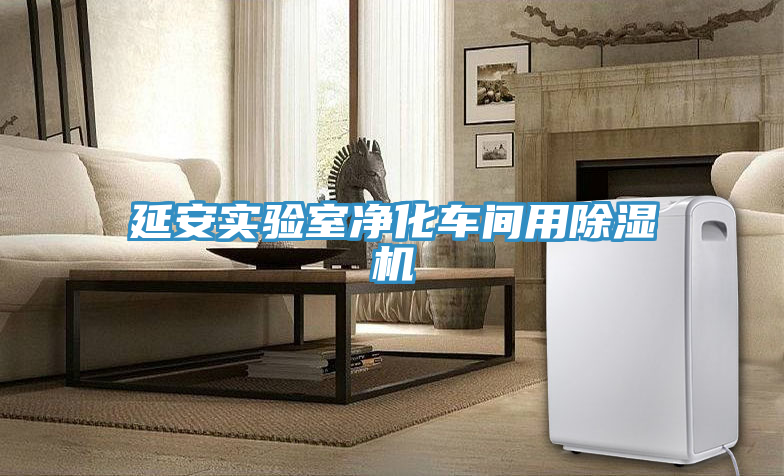 延安实验室净化车间用除湿机