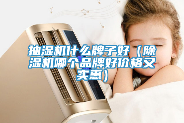 抽湿机什么牌子好（除湿机哪个品牌好价格又实惠）