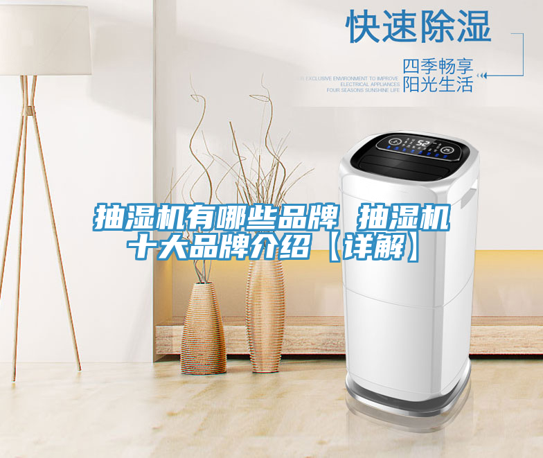 抽湿机有哪些品牌 抽湿机十大品牌介绍【详解】