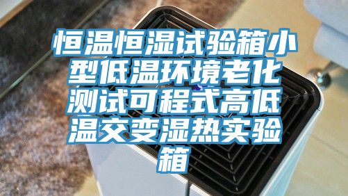 恒温恒湿试验箱小型低温环境老化测试可程式高低温交变湿热实验箱