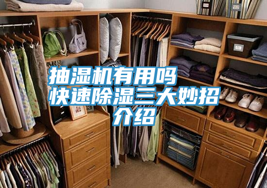 抽湿机有用吗   快速除湿三大妙招介绍