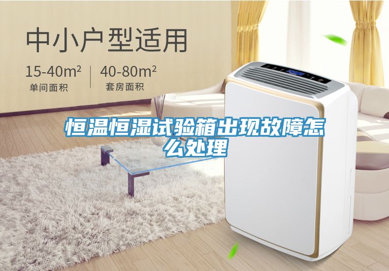 恒温恒湿试验箱出现故障怎么处理
