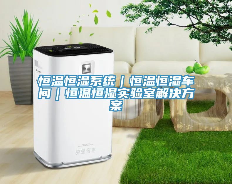 恒温恒湿系统｜恒温恒湿车间｜恒温恒湿实验室解决方案