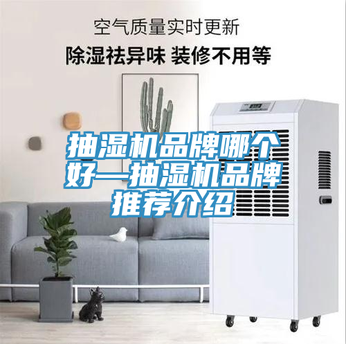 抽湿机品牌哪个好—抽湿机品牌推荐介绍