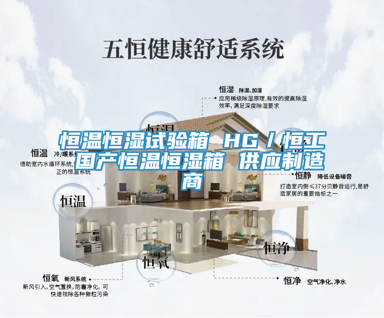 恒温恒湿试验箱 HG／恒工 国产恒温恒湿箱 供应制造商