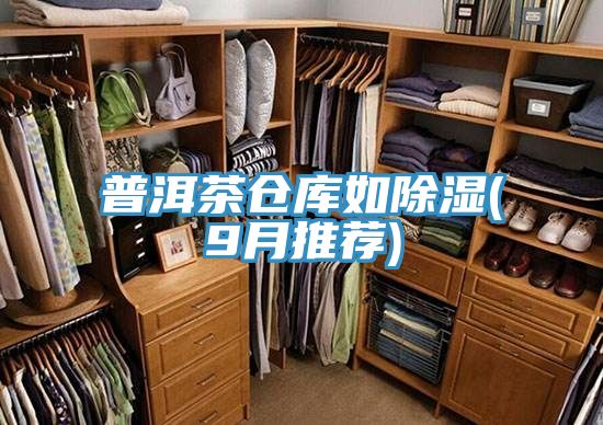 普洱茶仓库如除湿(9月推荐)