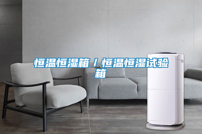 恒温恒湿箱／恒温恒湿试验箱