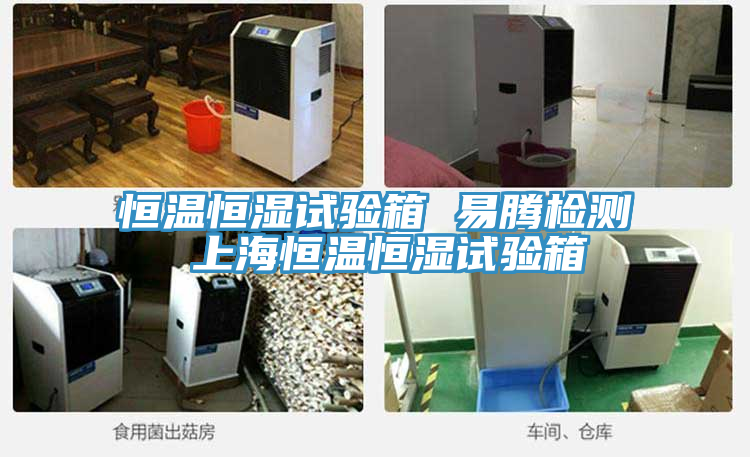 恒温恒湿试验箱 易腾检测 上海恒温恒湿试验箱